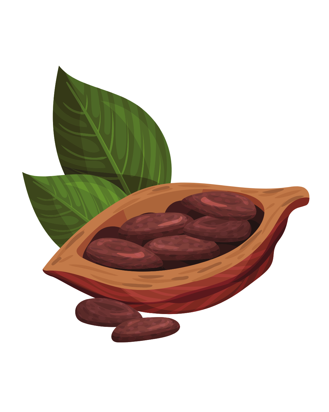 Cacao