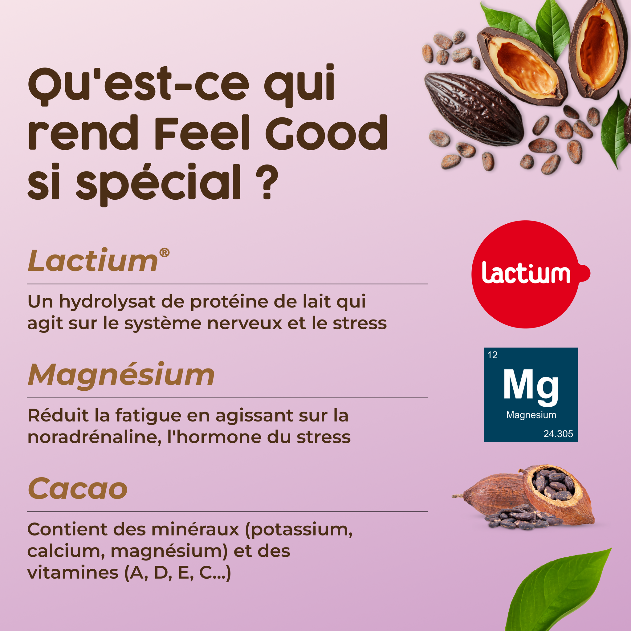 antistress magnesium lactium chocolat noir